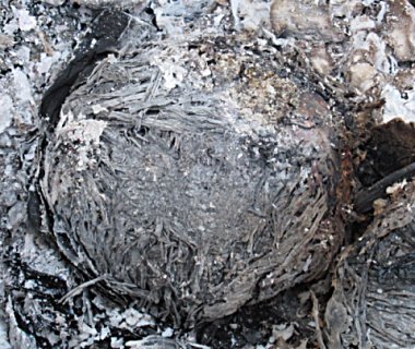 partially burnt saggar-shell on upper left piece